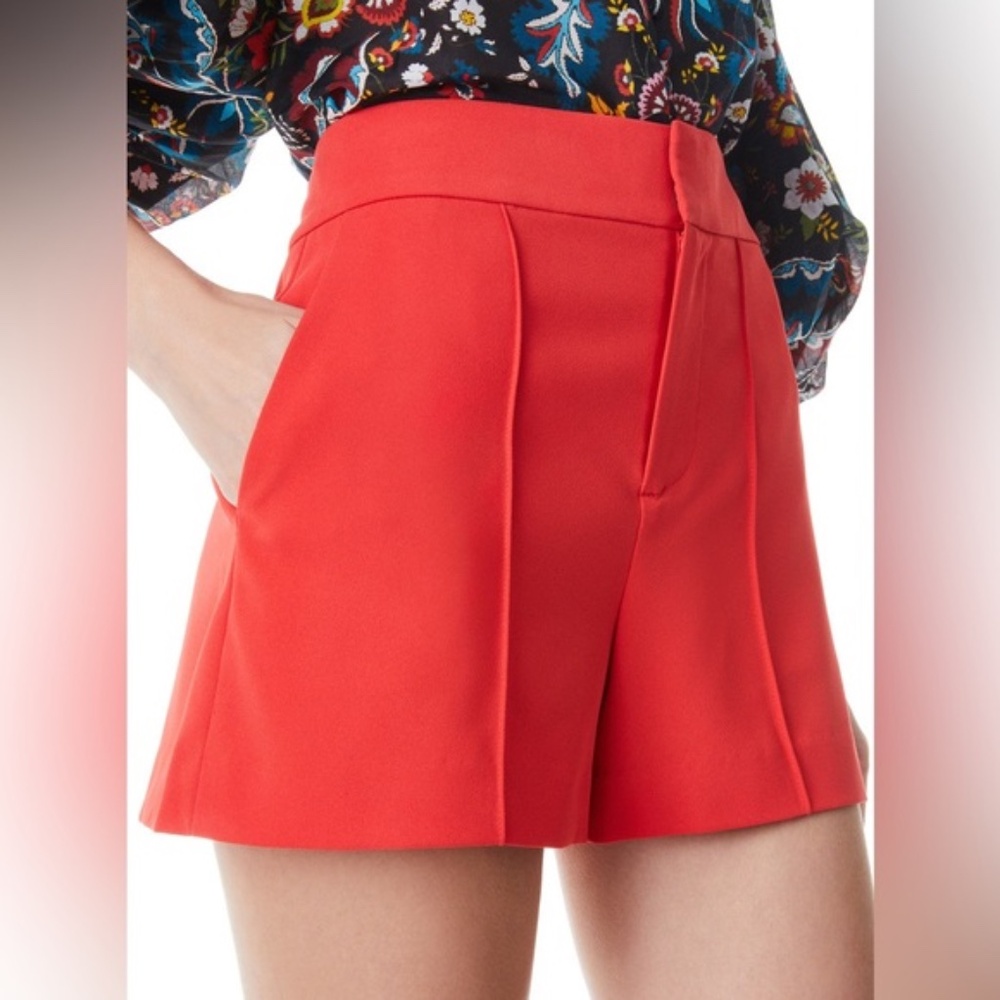 NEW! DYLAN HIGH WAISTED PINTUCK SHORT 6